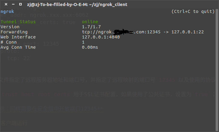 ../_images/ngrok_online2.png